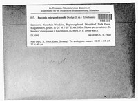 Image Associated With the Occurence